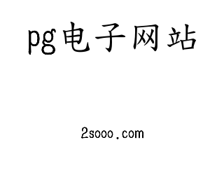 深圳市pg电子网站电子有限公司官网